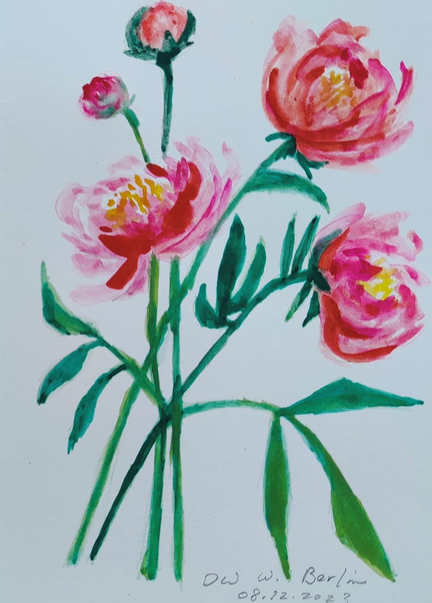 Watercolor painting of red and pink peonies, from a painting done by Dong Wang in August 2023 on the 30th anniversary of her flying to Kansas City on a U.S. Pew Charitable fellowship of 1993-1997.