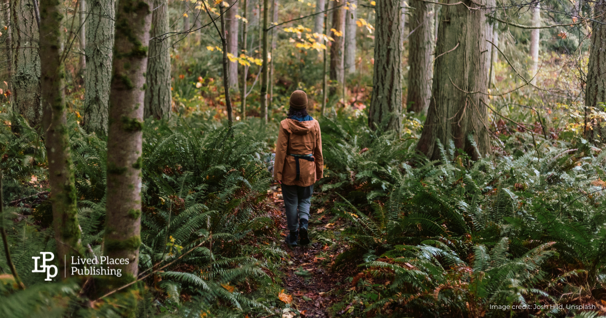 A lone person, facing away, walking through the forest with lots of tress.